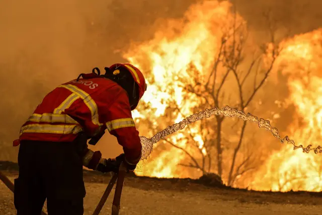Los incendios en España empeoran por la desidia humana