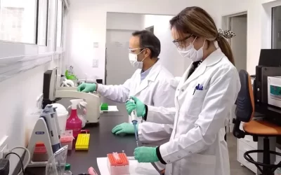 Científicos del CONICET reciben un importante subsidio internacional para investigar el Alzheimer