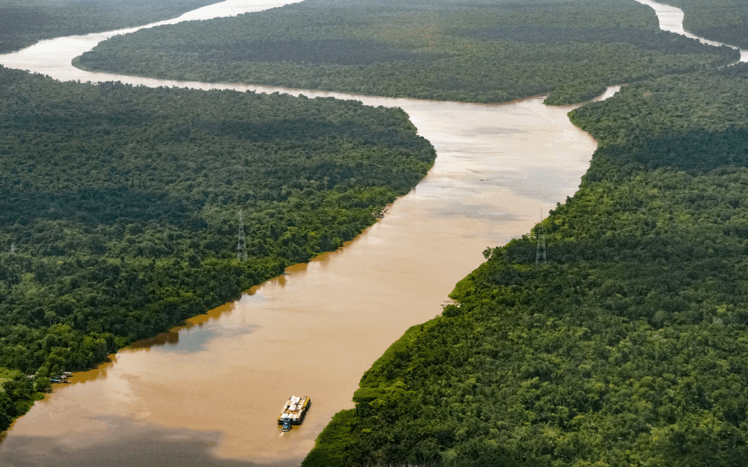 Brasil incorpora un nuevo sistema de monitoreo de la selva amazónica que utiliza IA.