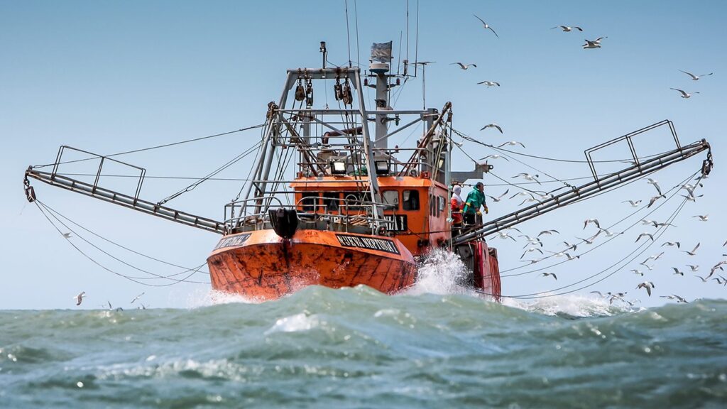 La OMC busca prohibir los subsidios a la pesca perjudicial