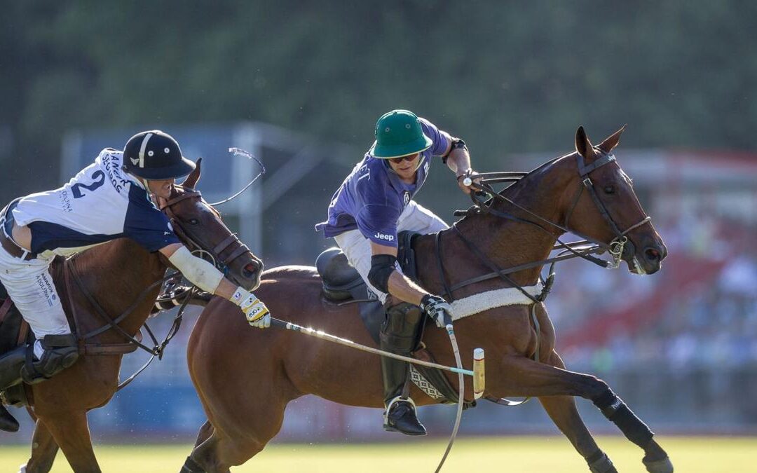 Caballos modificados genéticamente causan debate en el polo argentino.