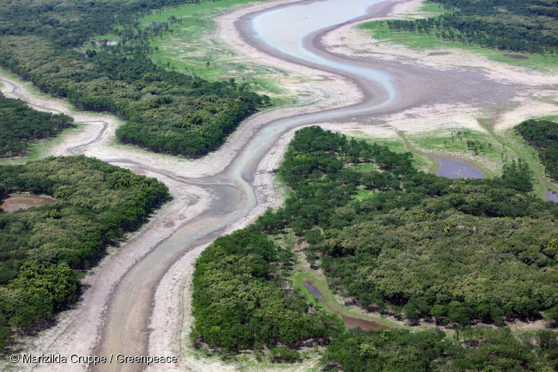 Pronostican una fuerte sequía en el Amazonas.