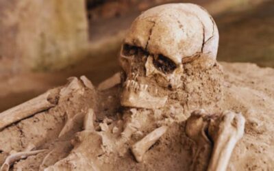 Un descubrimiento en China hace dudar sobre los orígenes de la especie humana