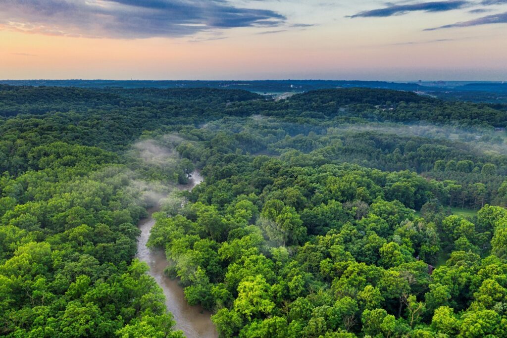 Los árboles de la Amazonia aumentan su tamaño.