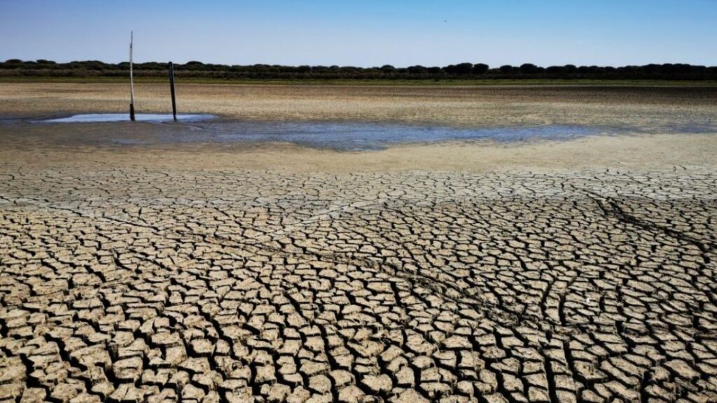 Científicos alertan sobre sequías y falta de acceso al agua a nivel global.
