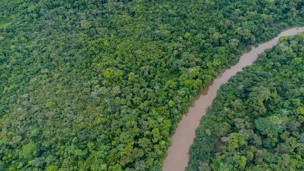Brasil incorpora un nuevo sistema de monitoreo de la selva amazónica que utiliza IA.