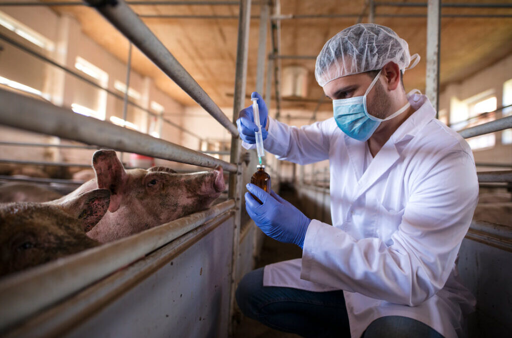 Se expanden las enfermedades transmitidas por animales.