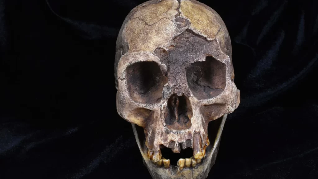 Un descubrimiento en China hace dudar sobre los orígenes de la especie humana.