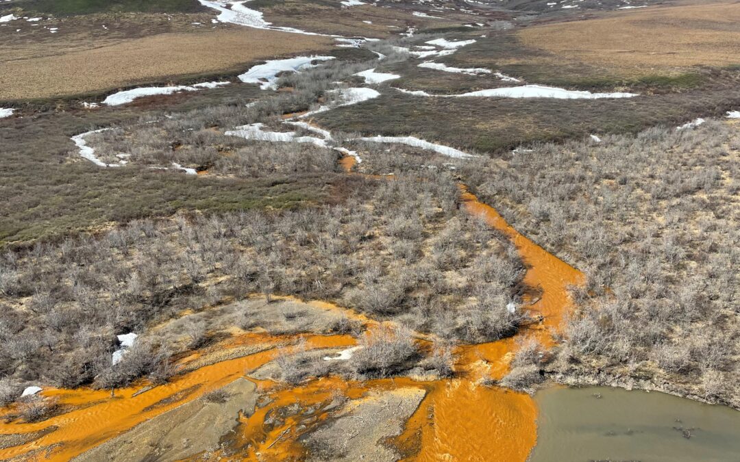 Advierten sobre un cambio en la pigmentación de los ríos en Alaska.