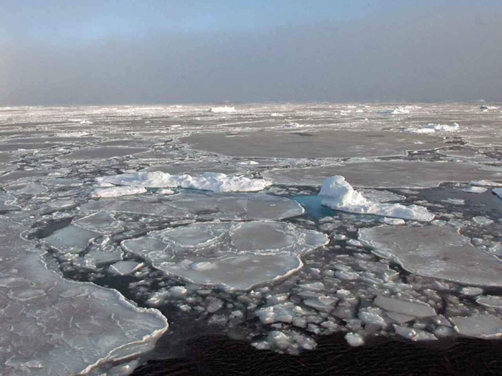 Advierten sobre un cambio en la pigmentación de los ríos en Alaska.