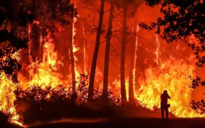 Los incendios en el mundo son más peligrosos y costosos que nunca