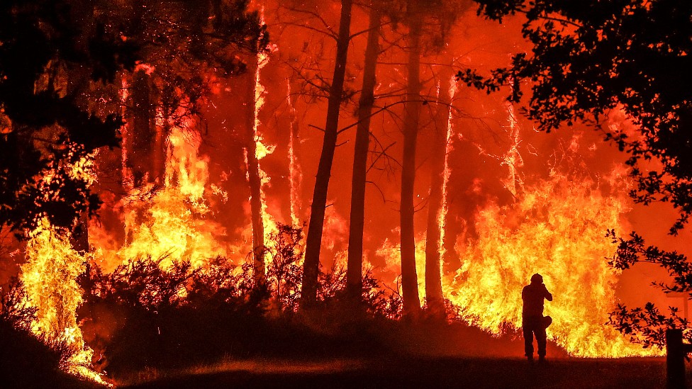 Los incendios en el mundo son más peligrosos y costosos que nunca.