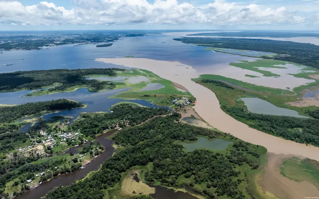 Brasil autoriza la búsqueda de petróleo frente a la Amazonía.