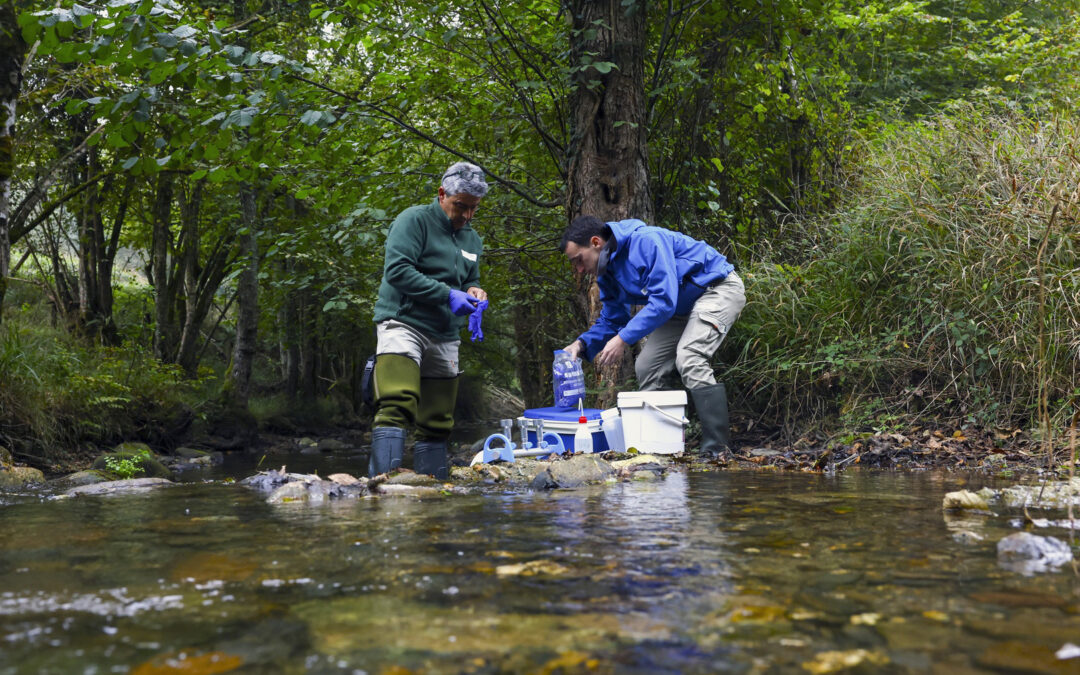 Utilizan el ADN ambiental para dar con el rastro de especies en peligro.