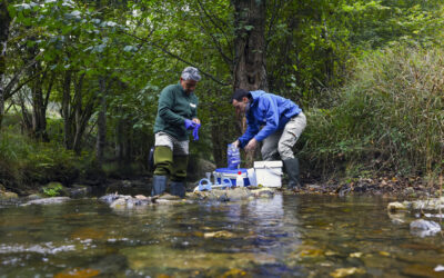 Utilizan el ADN ambiental para dar con el rastro de especies en peligro