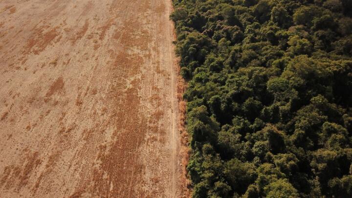 La ley contra la deforestación importada saldrá en Europa.