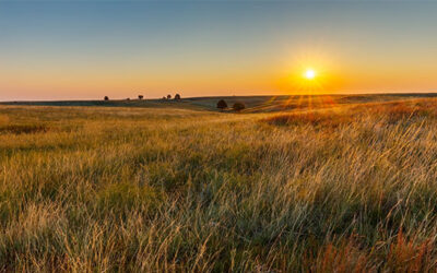 La UICN logra mociones históricas para los pastizales