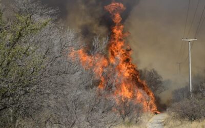 América y África enfrentan números récord de incendios forestales