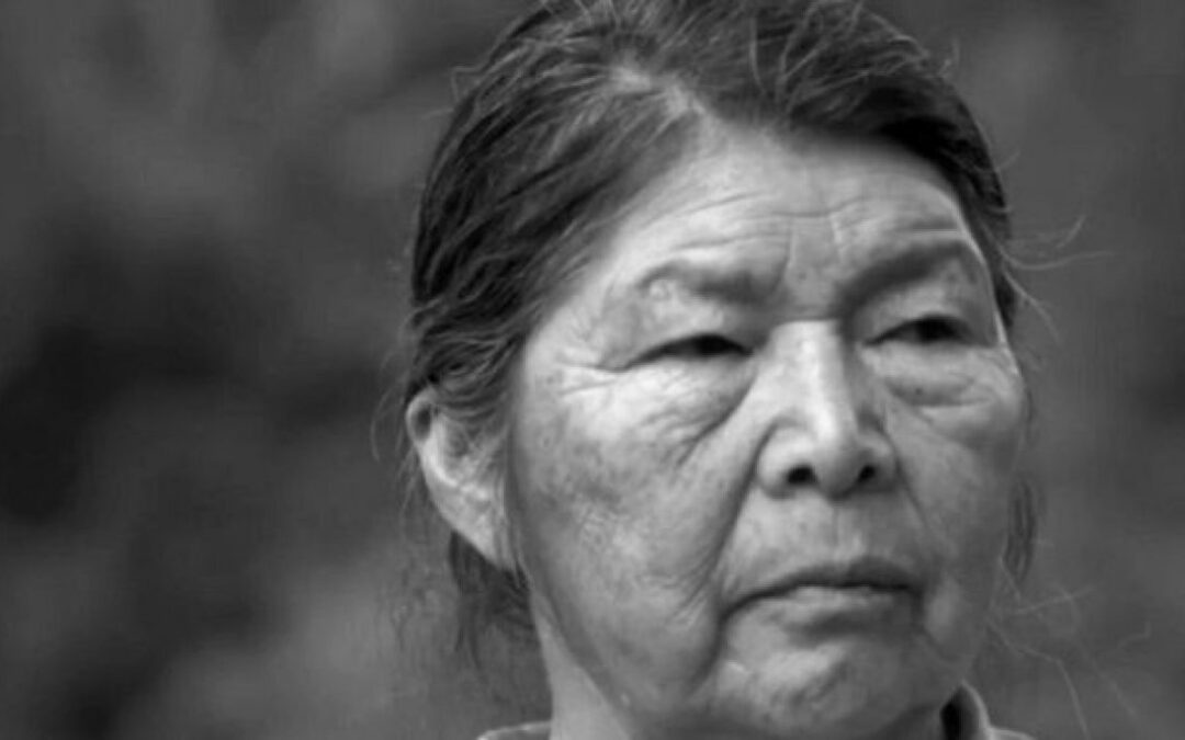 Chile reclama la aparición de una activista ambiental.