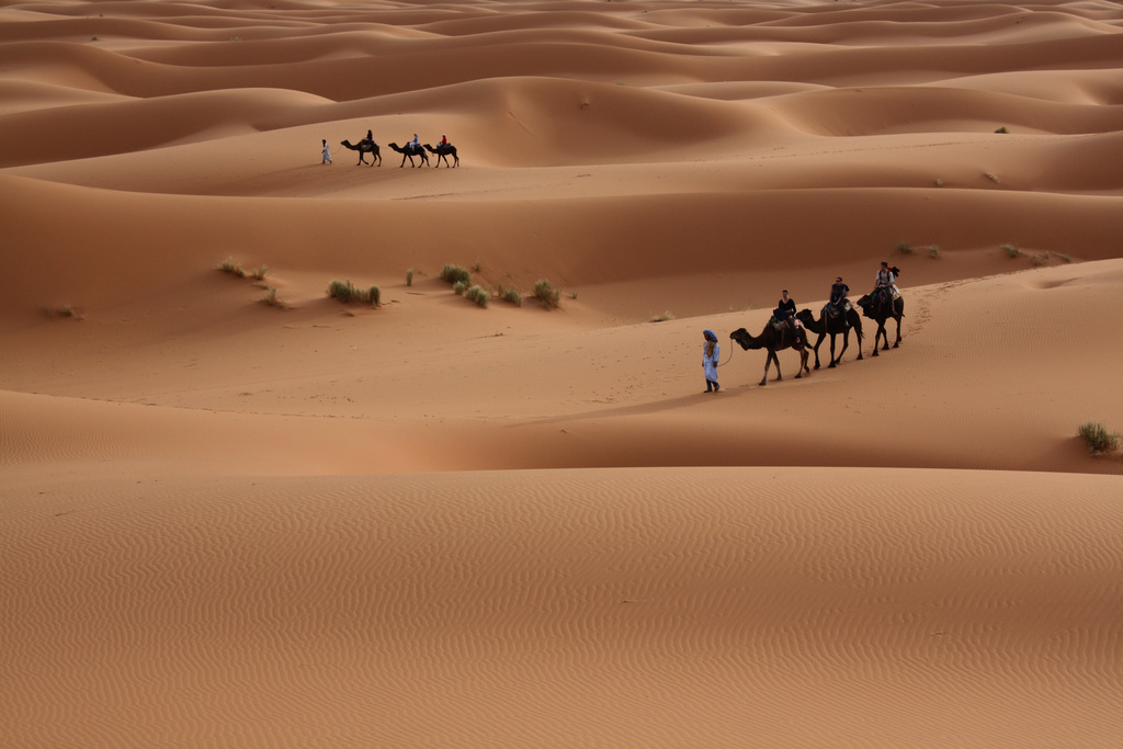 Advierten que el Sahara está más húmedo a causa del cambio climático.