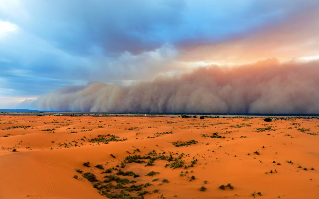 Advierten que el Sahara está más húmedo a causa del cambio climático.