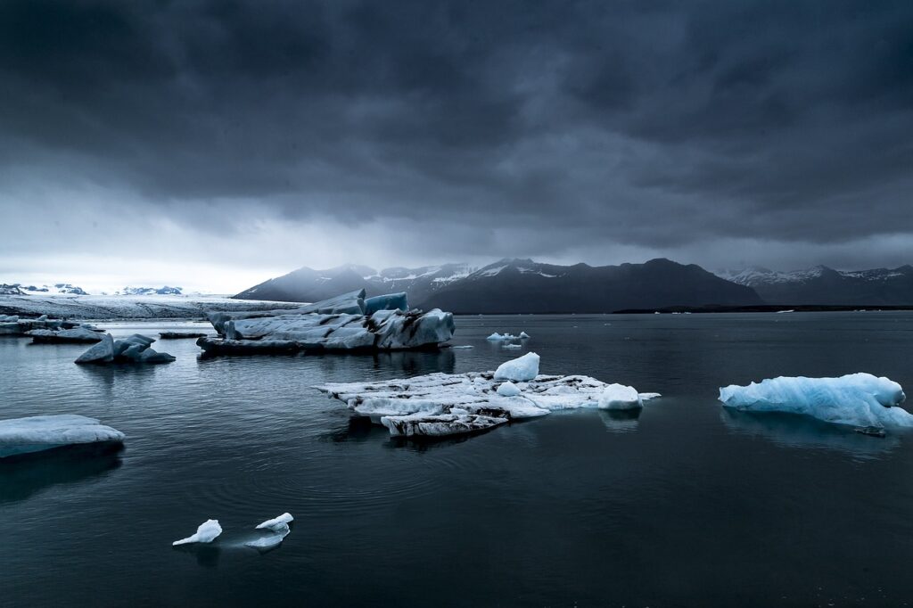 El derretimiento de los glaciares causa estragos en la vida marina.