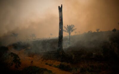 Se registró el mayor aumento de CO₂ en la atmósfera hasta la fecha
