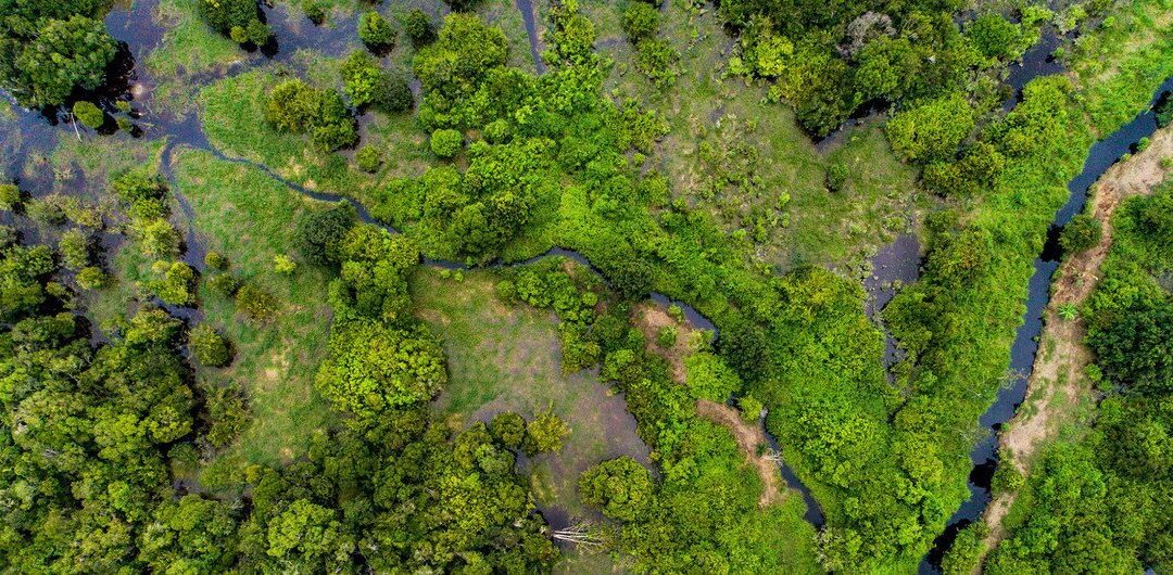 El cambio climático afecta a los sitios considerados como Patrimonio Mundial.