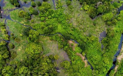 El cambio climático pone en peligro a los sitios naturales que son Patrimonio Mundial
