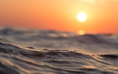 Las olas de calor marinas podrían causar un avance peligroso del calentamiento global