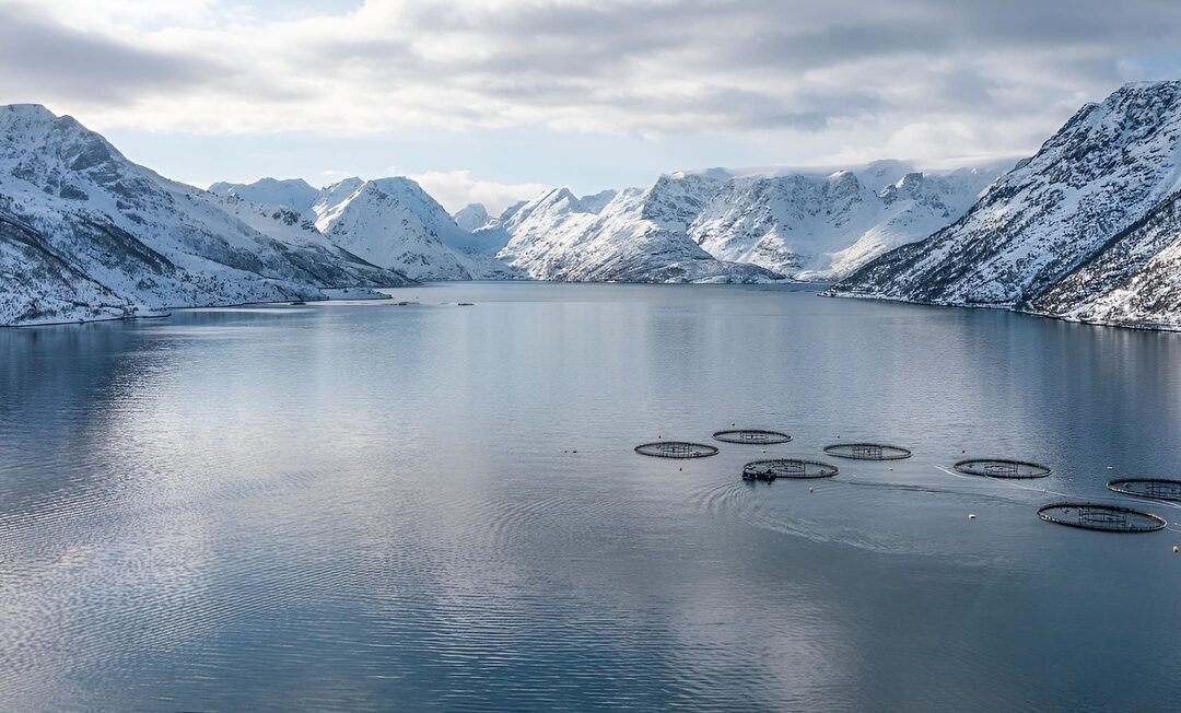 Salmononicultura en Tierra del Fuego