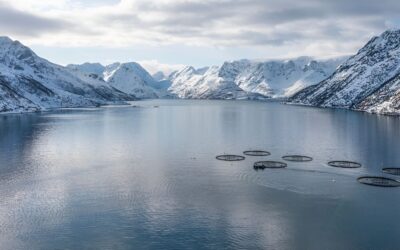 Tierra del Fuego se opone a la salmonicultura en sus aguas