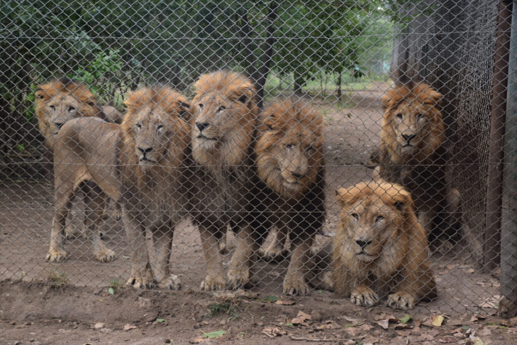 Ambiente monitoreó el ex zoológico de Luján.