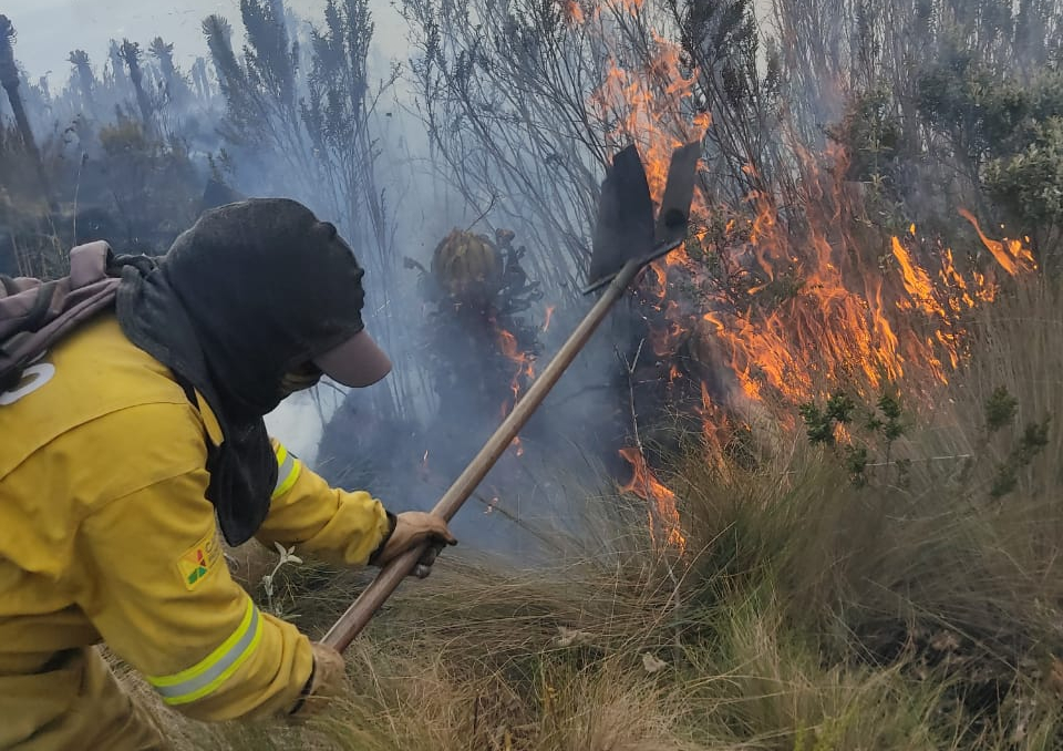 Descubren que los incendios forestales afectan las napas.