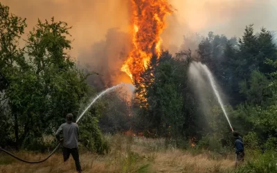 Descubren que los incendios forestales afectan las napas