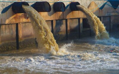 Francia ya comenzó con sus planes para eliminar “químicos eternos” de sus productos