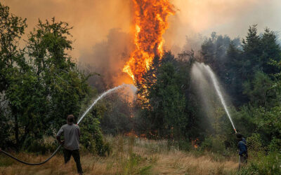 Aseguran que los incendios en la Patagonia son los más intensos en décadas