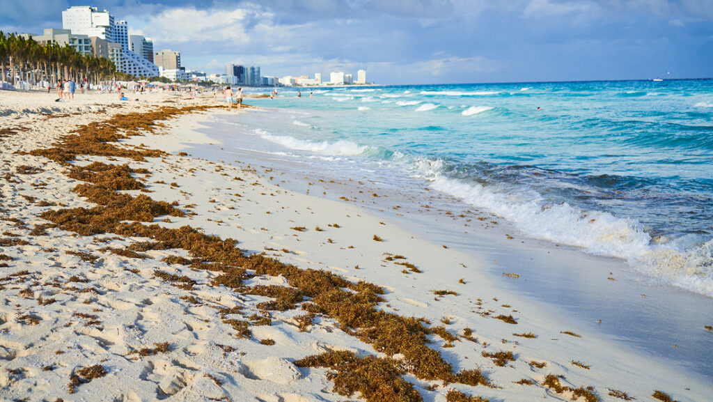 Un país europeo deberá aplicar planes de contingencia en el Caribe.