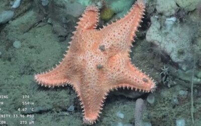 Concluyó la misión “Vida en los extremos”