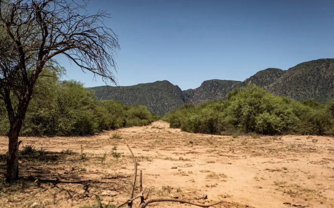 El Parque Nacional Traslasierra logra sumar hectáreas para proteger especies amenazadas.