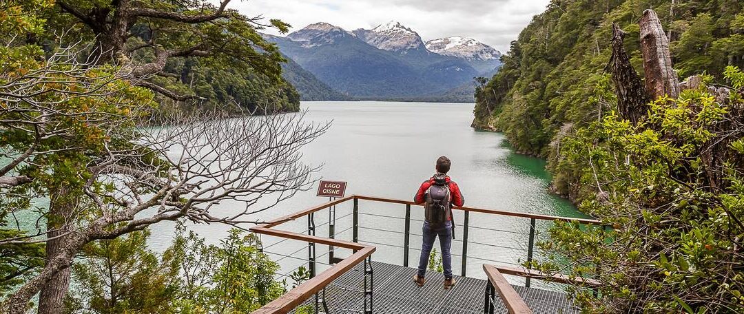 Parque Nacional Los Alerces informaron que este emblemático árbol de 2.600 años está fuera de peligro.