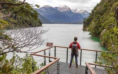 ¿Conocés a “El Abuelo”? Hablemos sobre los alerces
