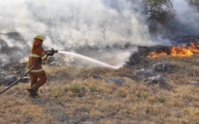 Aseguran que el gobierno no cumplió con el presupuesto asignado al manejo del fuego