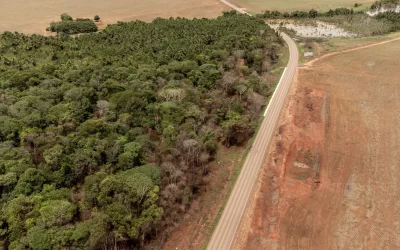 La industria de la soja abandona acuerdos contra la deforestación en Brasil