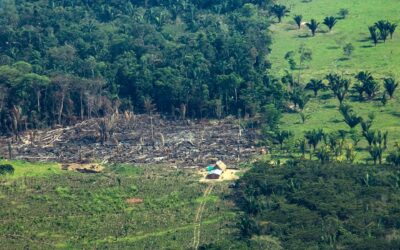 Logran documentar patrones de cambio en la Amazonía y Los Andes