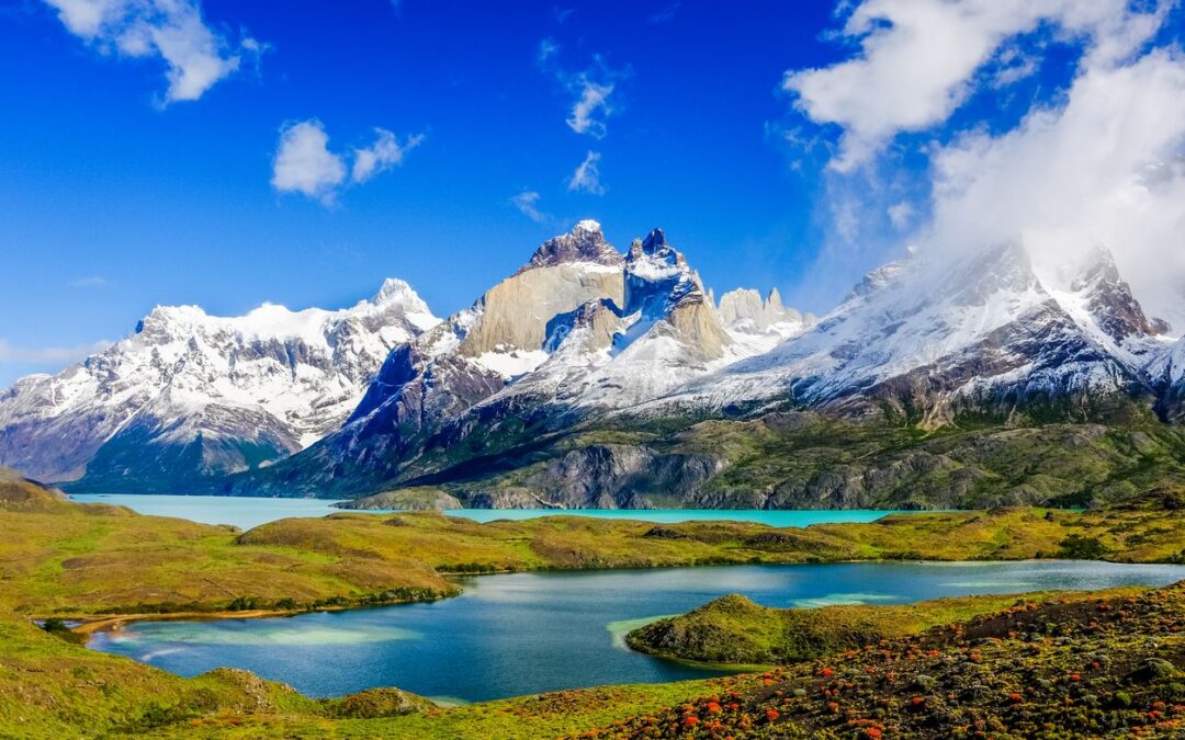 Lanzan un proyecto para regenerar la Patagonia.