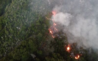 El fuego no da tregua en la Patagonia: La situación critica que atraviesa el Parque Nacional Los Alerces