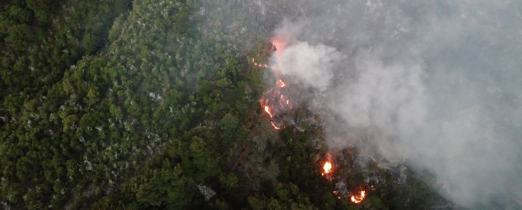 El fuego no da tregua en la Patagonia: La situación critica que atraviesa el Parque Nacional Los Alerces