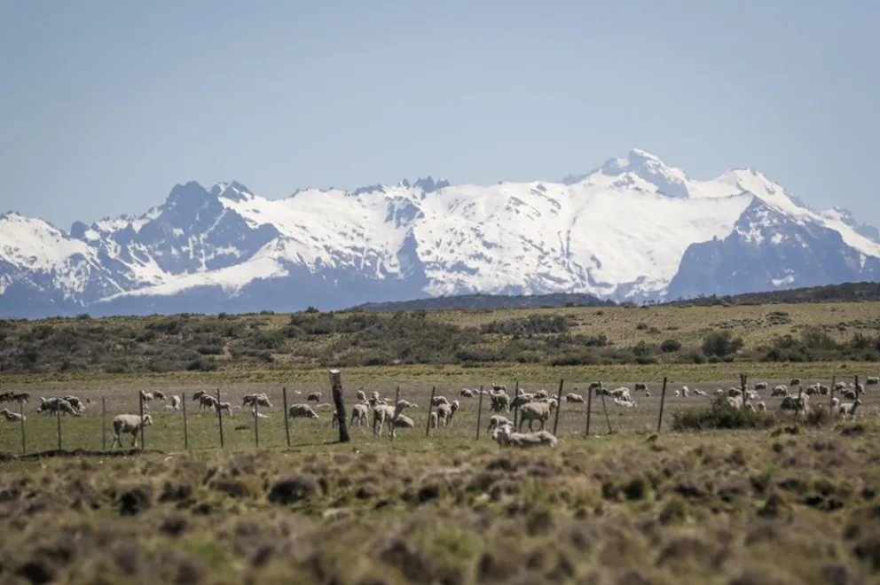 Lanzan un proyecto para regenerar la Patagonia.