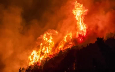 Preocupación por los fuegos en Chubut: se reactivaron los focos